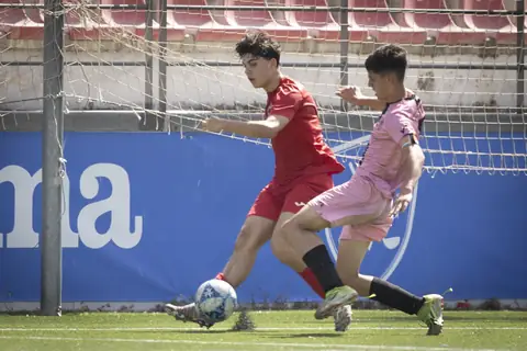 Estepona Summer Cup 2026 · foto 96